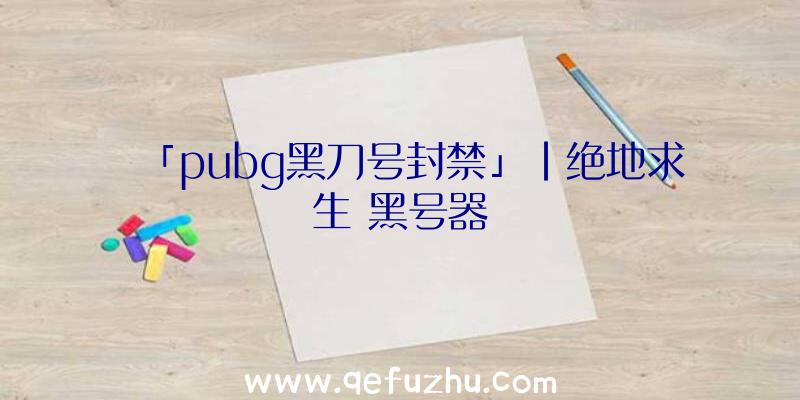 「pubg黑刀号封禁」|绝地求生